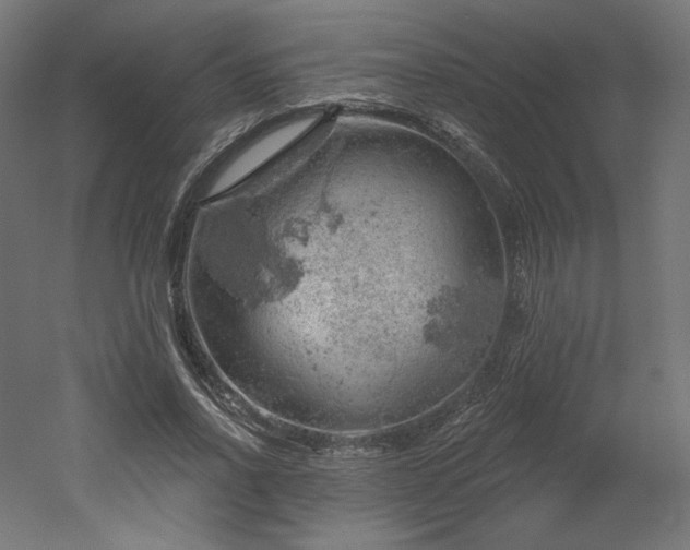 X0000052640734200507011345