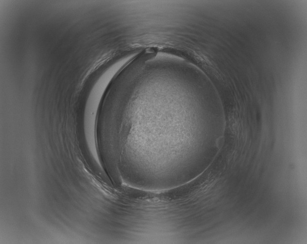 X0000052640735200507011345