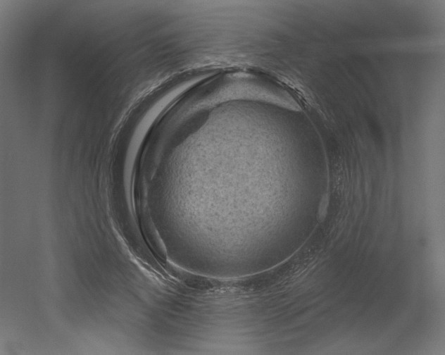 X0000052640736200507011345