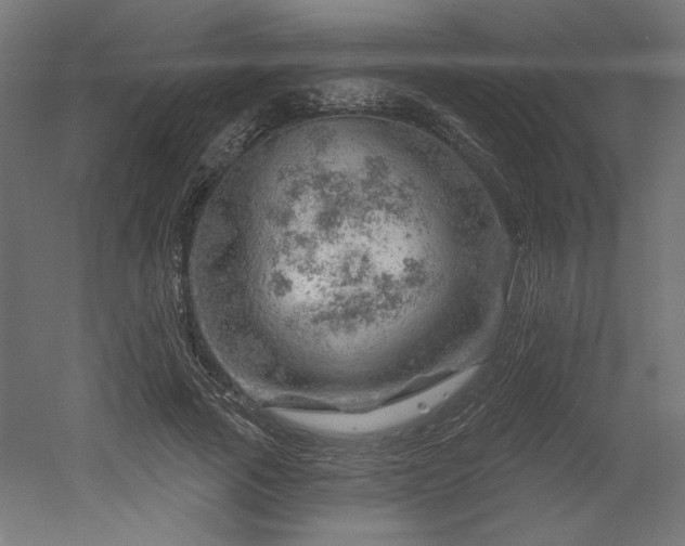 X0000052640737200507011345