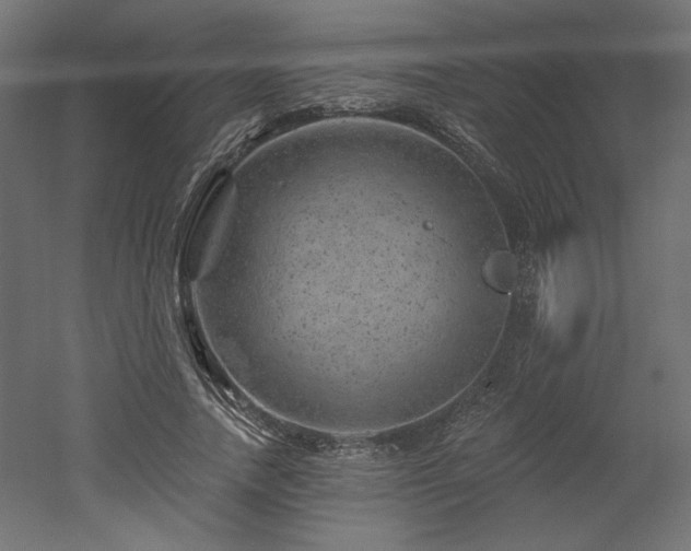 X0000052640738200507011346