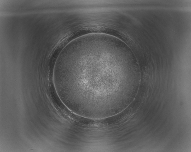 X0000052640739200507011346