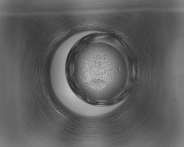 X0000052640740200507011346