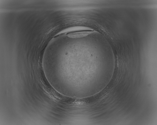 X0000052640741200507011346