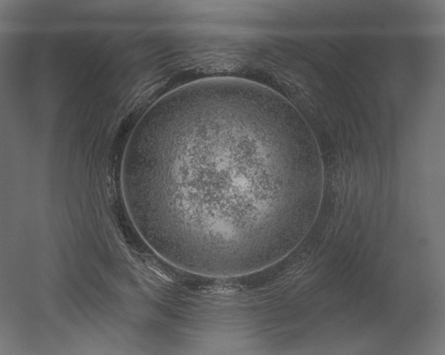 X0000052640743200507011346