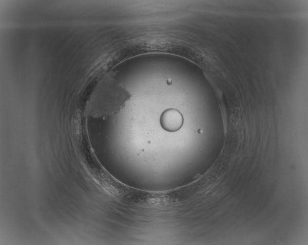 X0000052640744200507011346