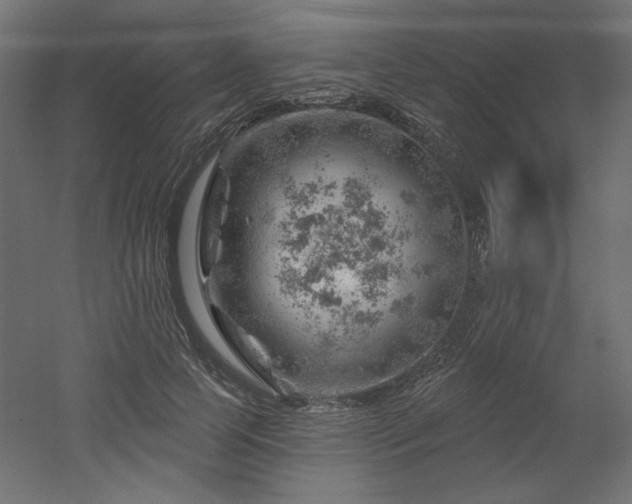 X0000052640745200507011346