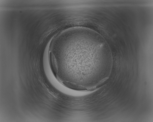 X0000052640746200507011346