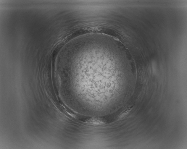 X0000052640747200507011346