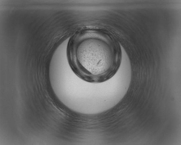 X0000052640748200507011346