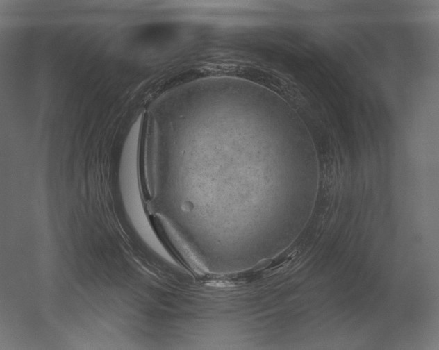 X0000052640749200507011346