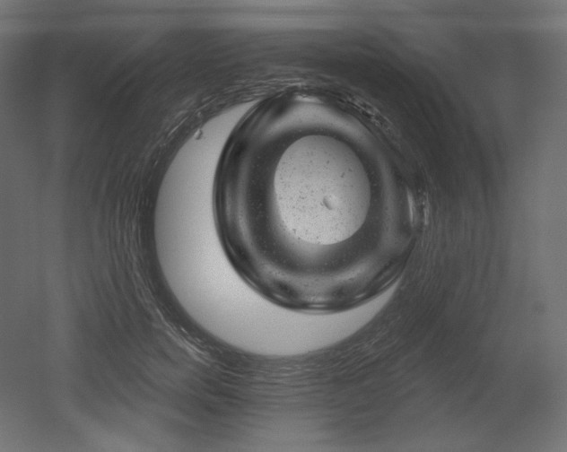 X0000052640750200507011346