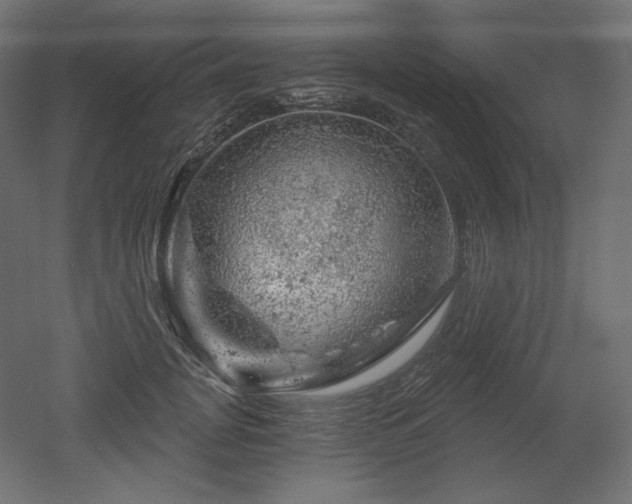 X0000052640751200507011346