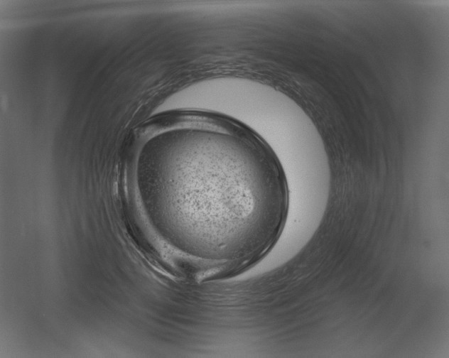 X0000052640752200507011346