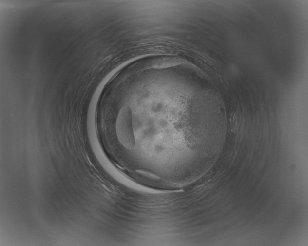 X0000052640753200507011346