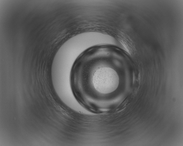 X0000052640754200507011346