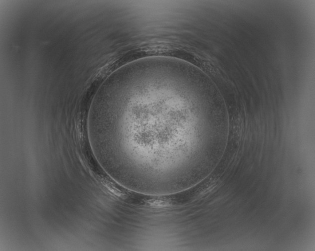 X0000052640755200507011346