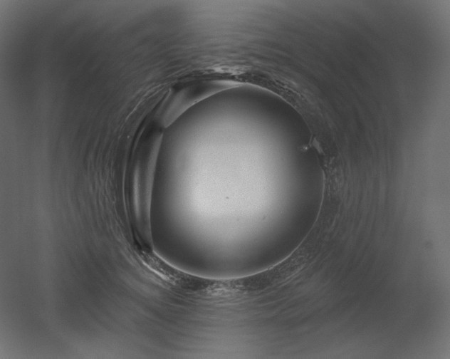 X0000052640756200507011346