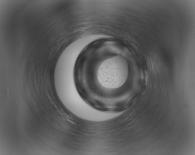 X0000052640759200507011346