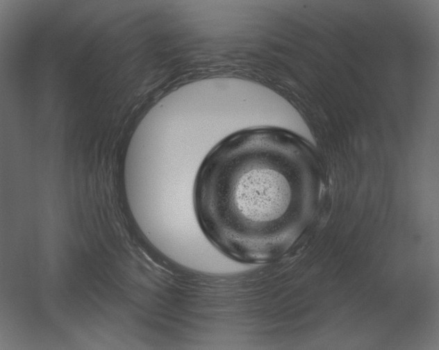 X0000052640760200507011346