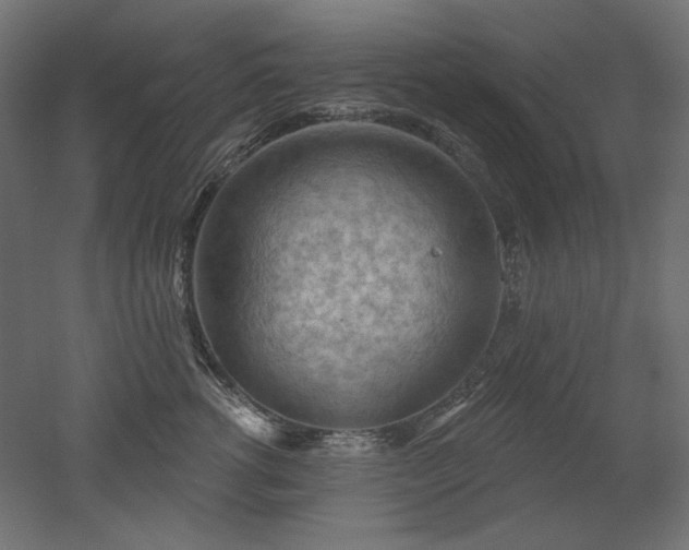 X0000052640762200507011346