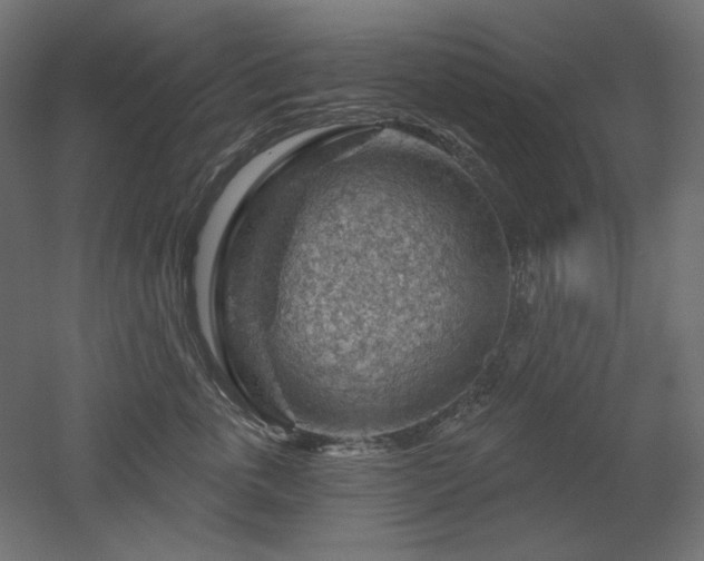 X0000052640763200507011346