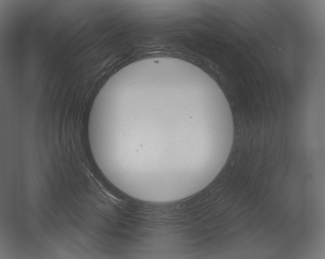 X0000052640764200507011346