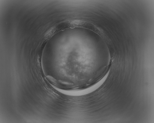 X0000052640765200507011346