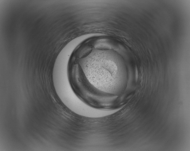 X0000052640767200507011346