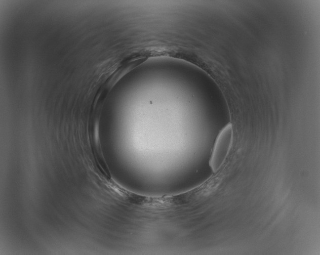 X0000052640768200507011346