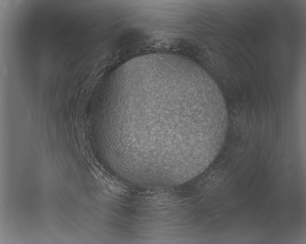 X0000052640769200507011345