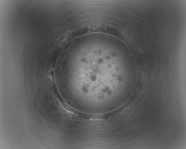 X0000052640770200507011345