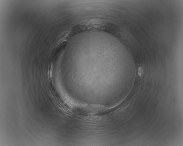 X0000052640771200507011345