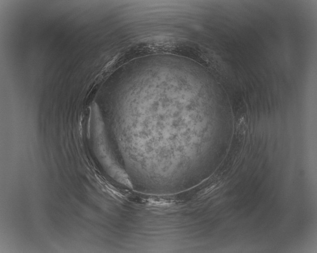 X0000052640772200507011345