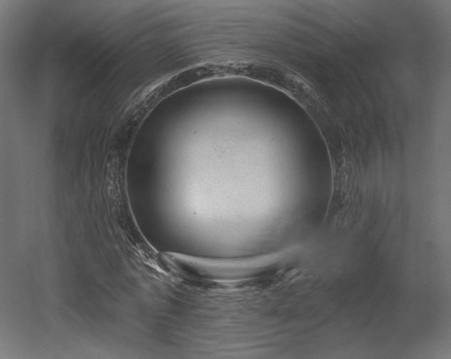 X0000052640773200507011345