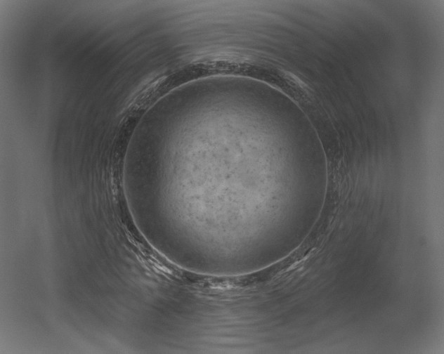 X0000052640774200507011345