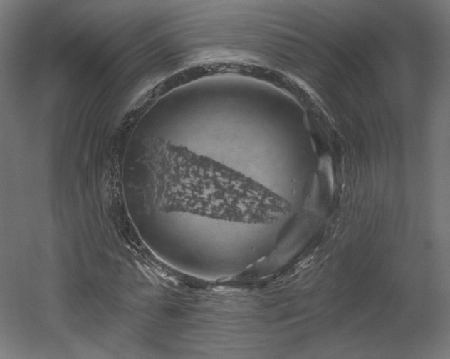 X0000052640775200507011345