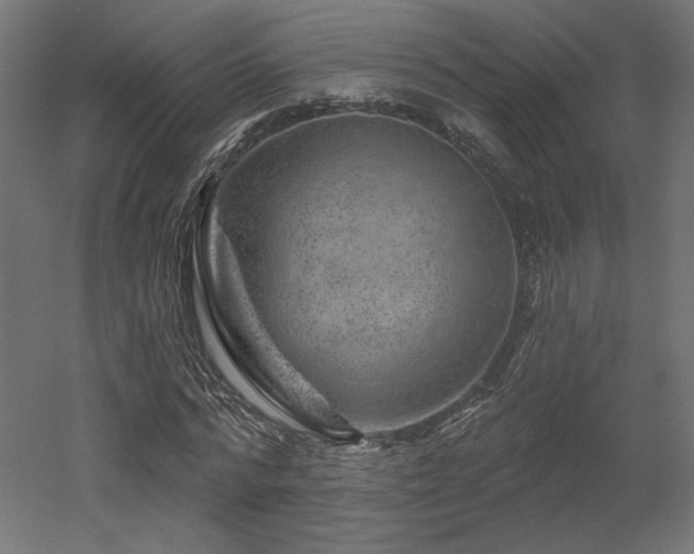 X0000052640776200507011345