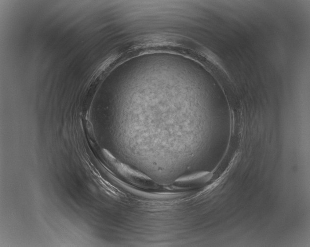 X0000052640777200507011345