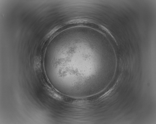 X0000052640778200507011345