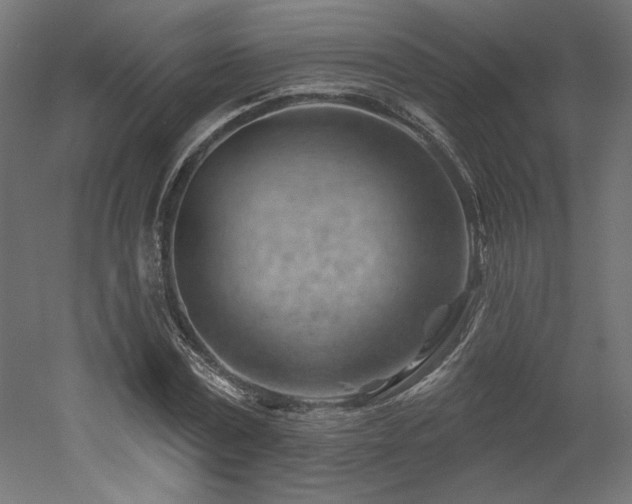 X0000052640779200507011345