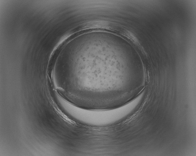 X0000052640780200507011345