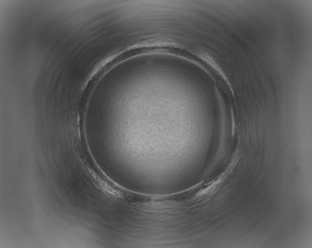 X0000052640781200507011345