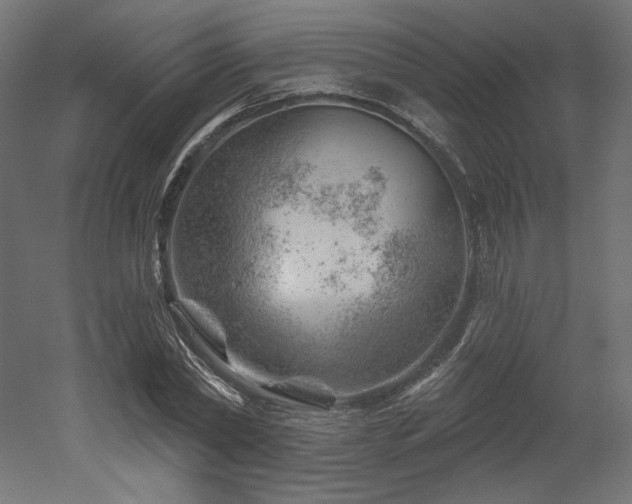 X0000052640782200507011345