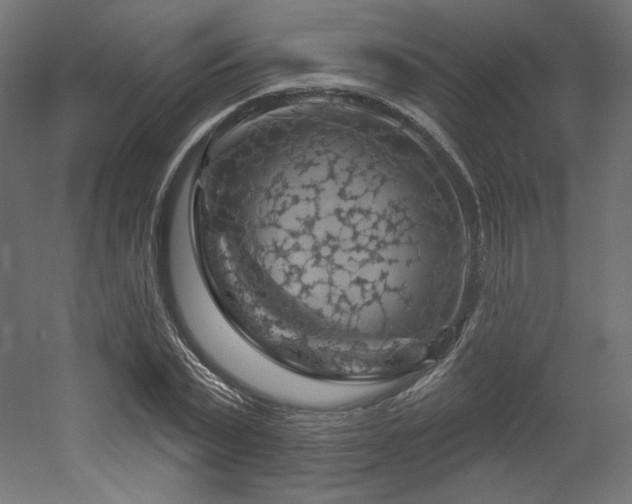 X0000052640783200507011345