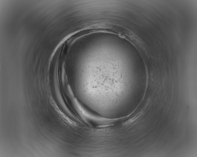 X0000052640784200507011345