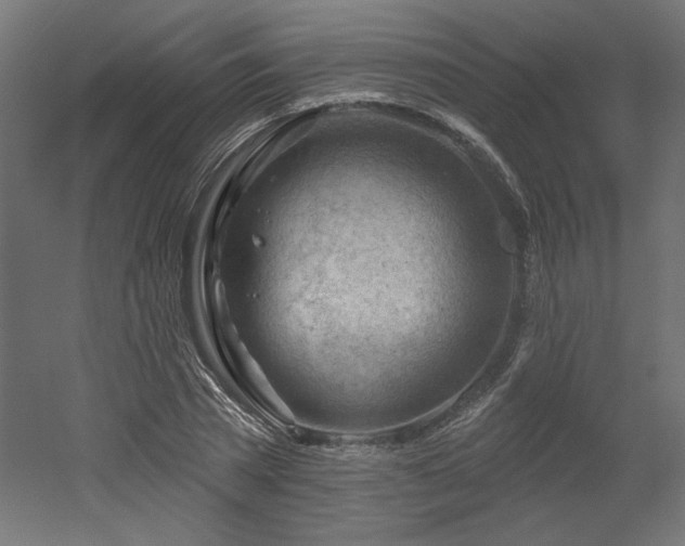 X0000052640785200507011345