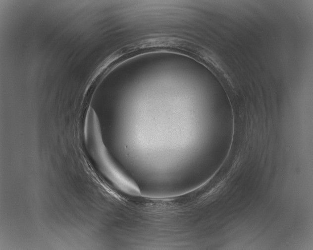 X0000052640786200507011345