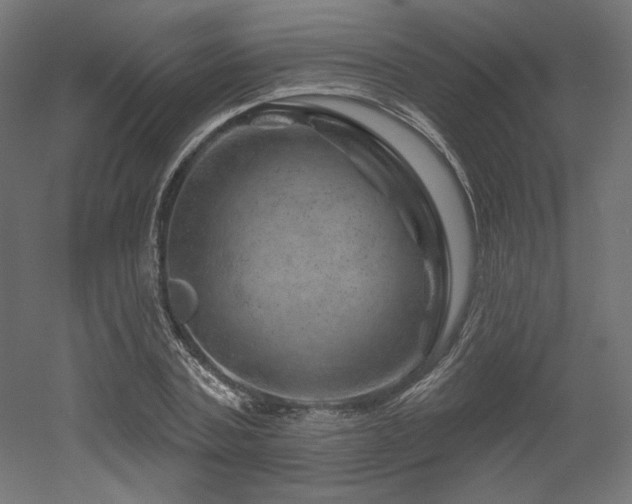 X0000052640787200507011345