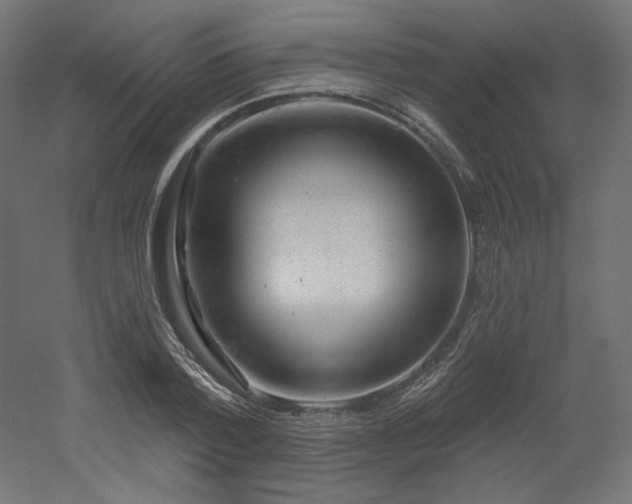 X0000052640788200507011345